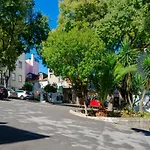 Sunny & Quiet In Historic Center