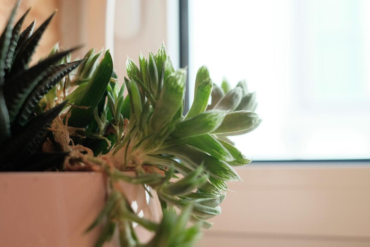 Appartement Friendly Border Design *