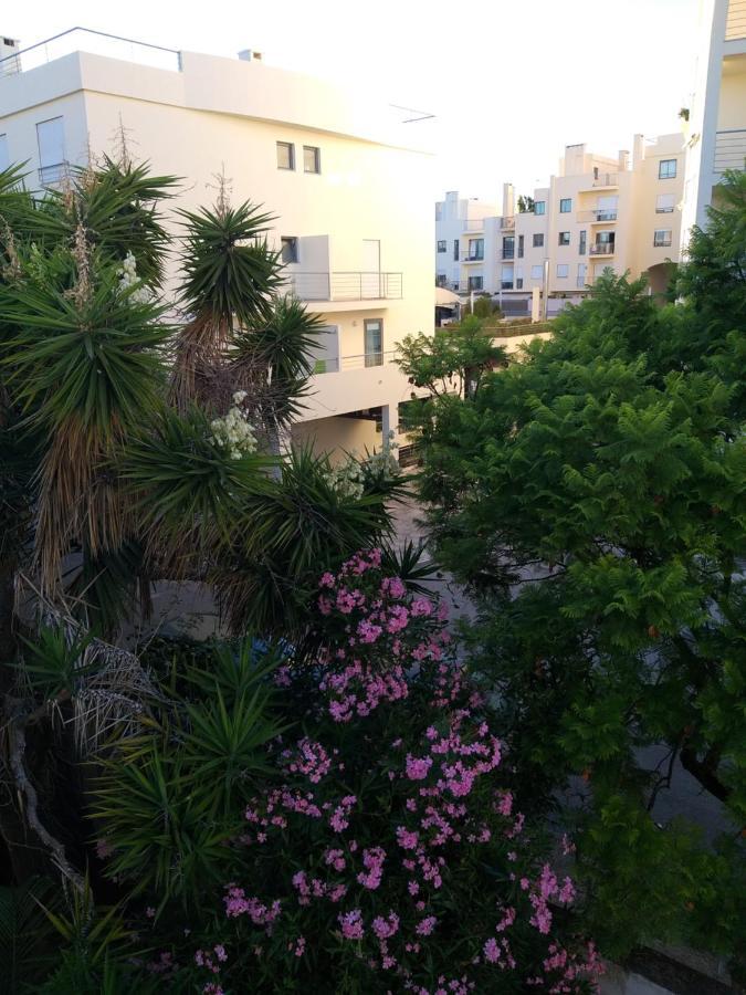 The Lisbon'S Light - Bed And Breakfast - Apartment Shared With The Hosts Homestay Lisbon