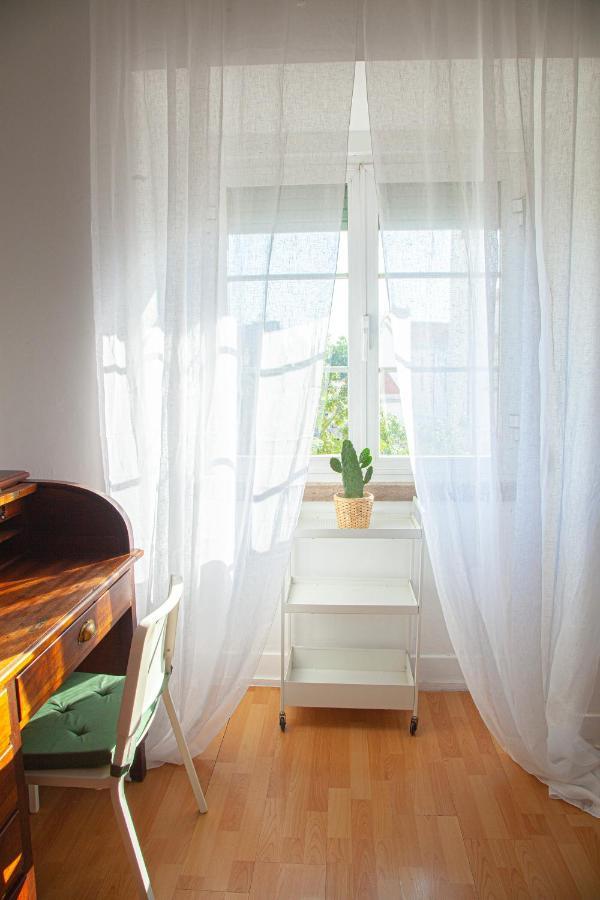 Appartement Ola ! Central Lightning Quiet View Garden 10mn Airport *