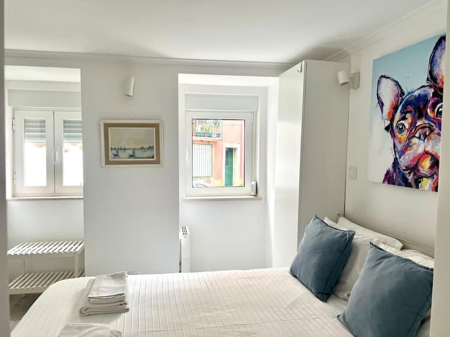 Reg Appartement