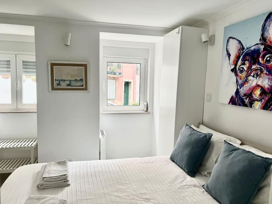 Reg Appartement *