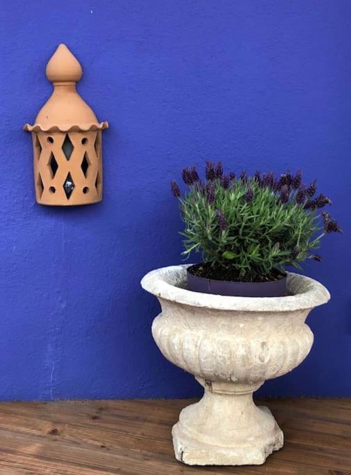 Charming Terrace Flat Center And Trendy Location