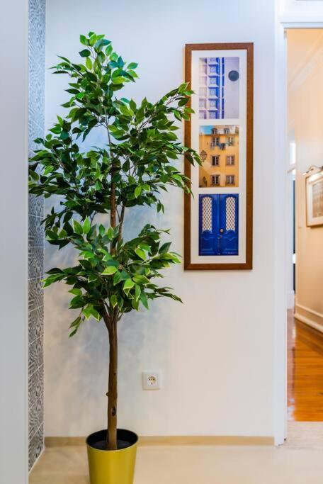 Appartement Wfh Luxury With Gourmet Kitchen