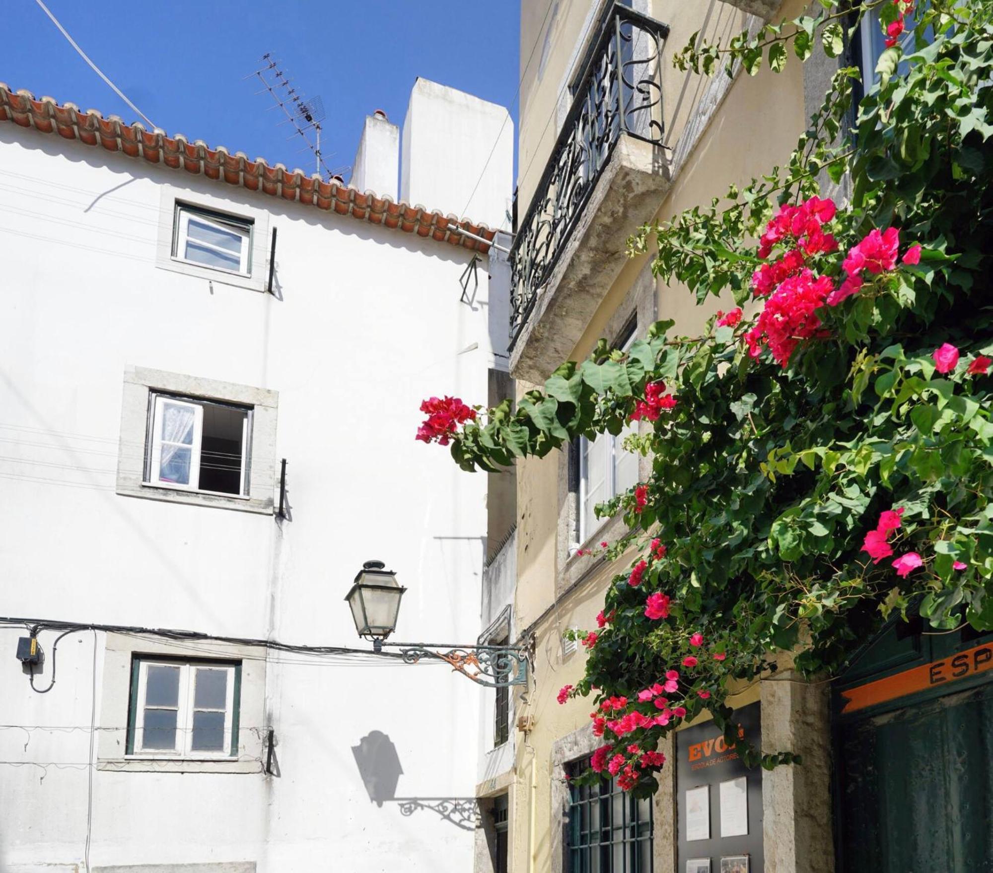 Alfama Historical Stylish 1 Br