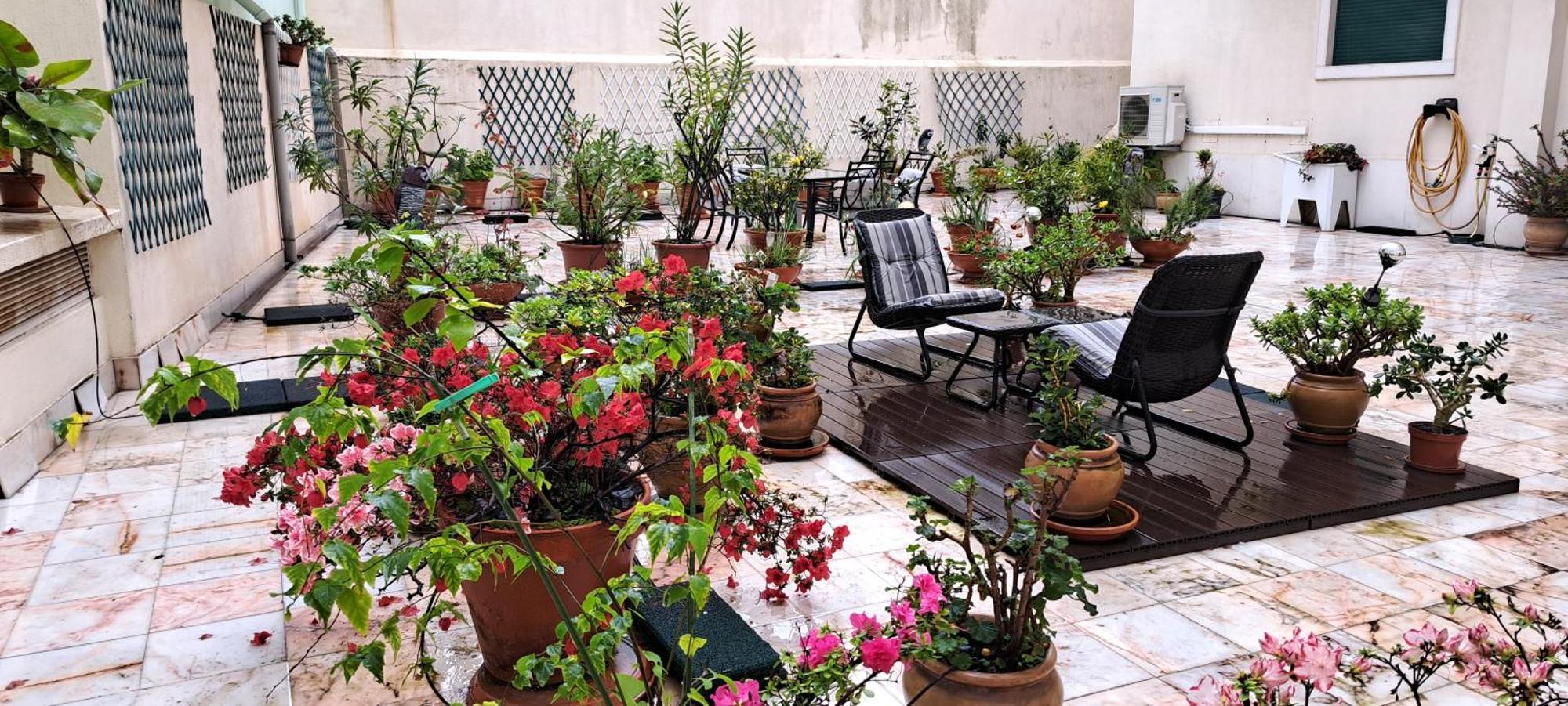 Appartement Sunny Terrace Lisboa