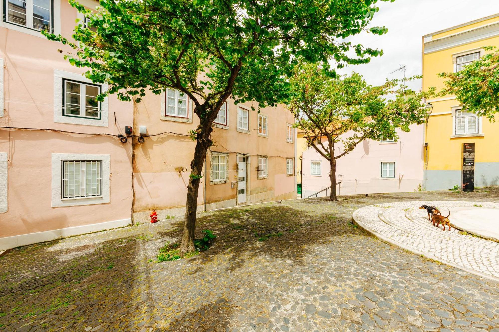Rent4Rest Lisbon Downtown Tiny Studio Apartments * Lissabon