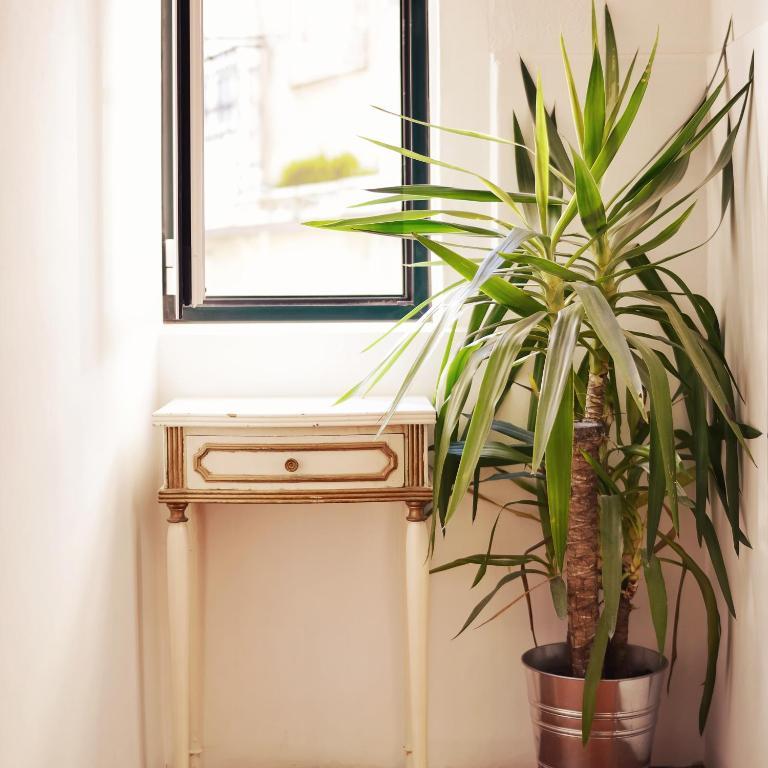 Story Guest house Lisbon