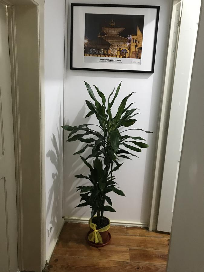 Namaste Séjour chez l'habitant Lisboa