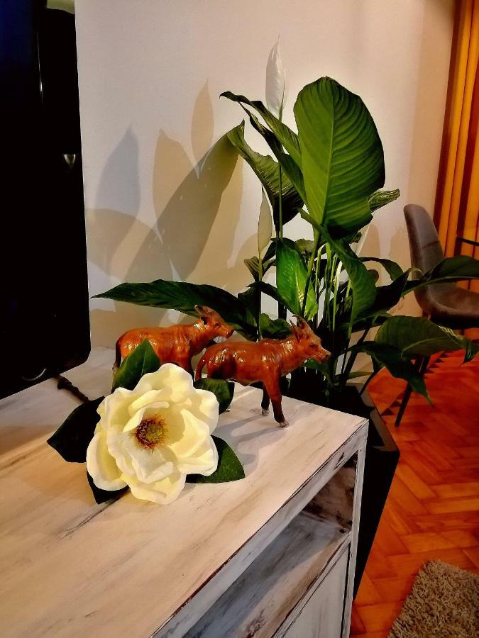 The Sunset Flat Appartement