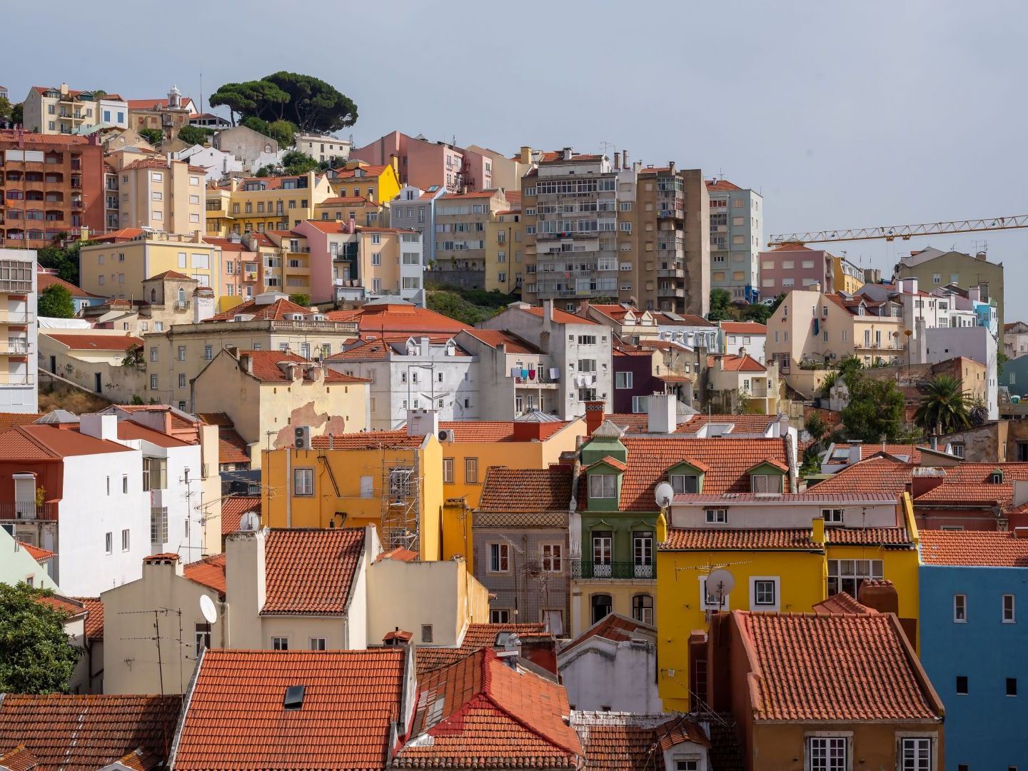 Altido Elegant Deluxe Apartment&altido Luxurious 3-bedroom Apt With Terrace In Intendente Appartement *