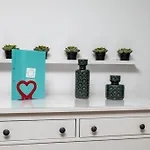 BeGuest Bright Inn Lisbon Apartment