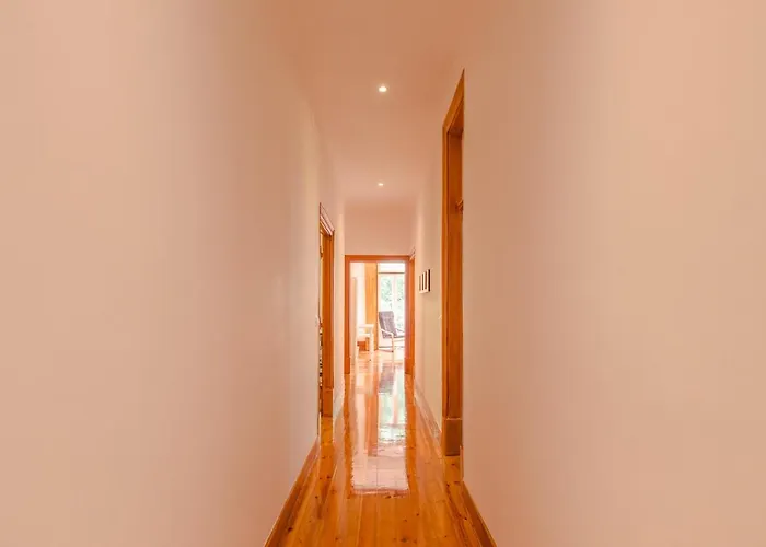 Flh Spacious Flats Near Avenida Da Liberdade