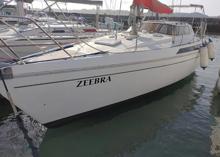 Zeebra - Jeanneau Espace 1000 sailboat