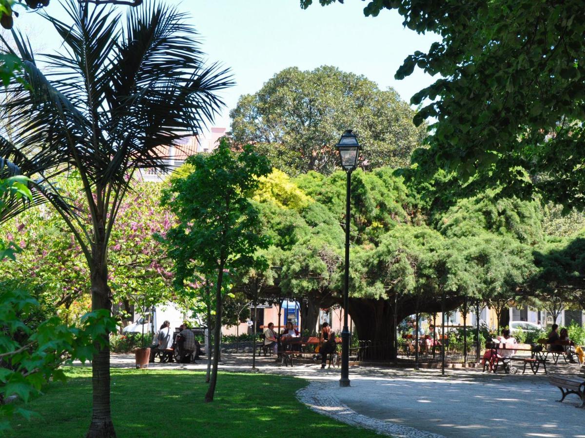 Typical Portuguese In São Bento