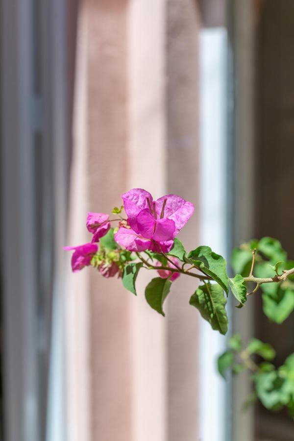 Park - Principe Real Appartement Lissabon