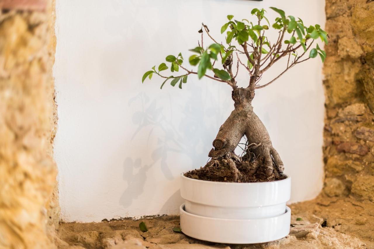 Appartement Alfama Design