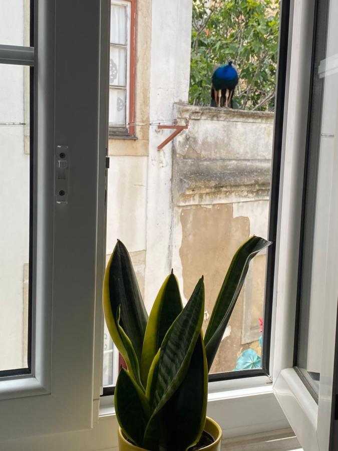 Castle Appartement