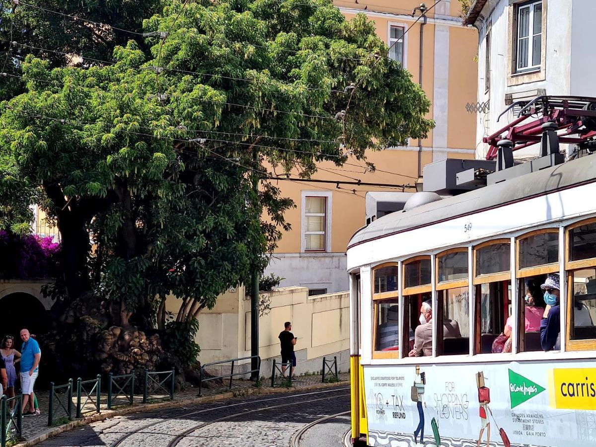 Lel Madalena Casa de hóspedes Lisboa