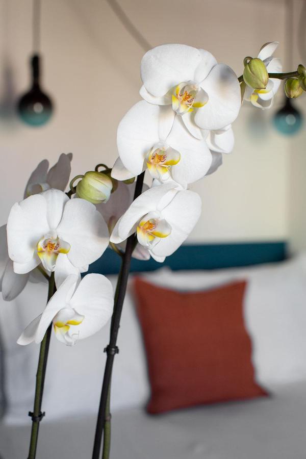 Aparthotel Casa Do Torel - Suites Designs Au Coeur De Lisbonne *
