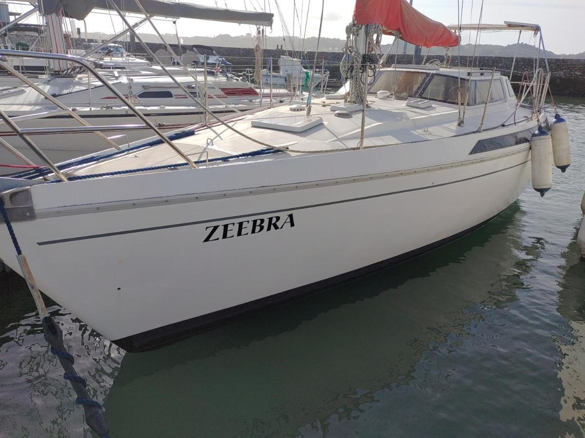 Zeebra - Jeanneau Espace 1000 Sailboat *