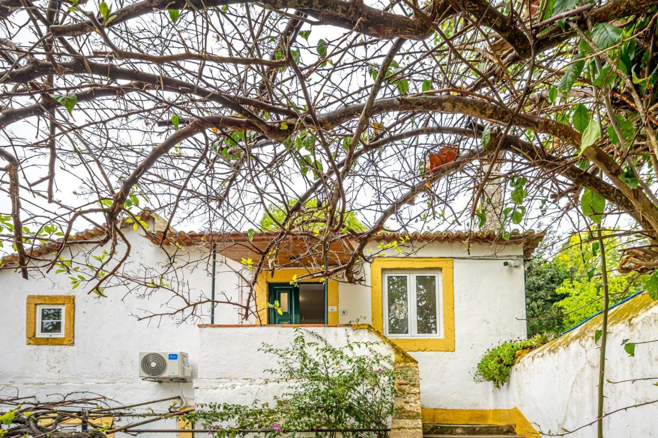Holiday home Quinta Do Boicao