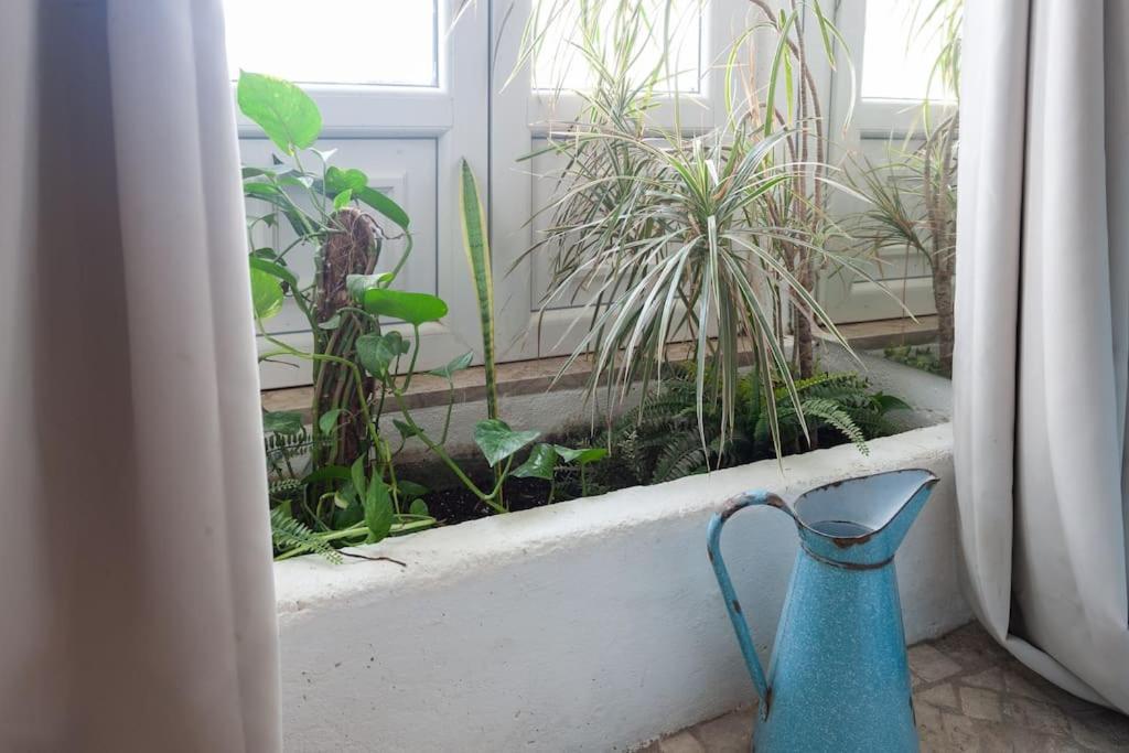 Appartement A Boemia Street Studio *