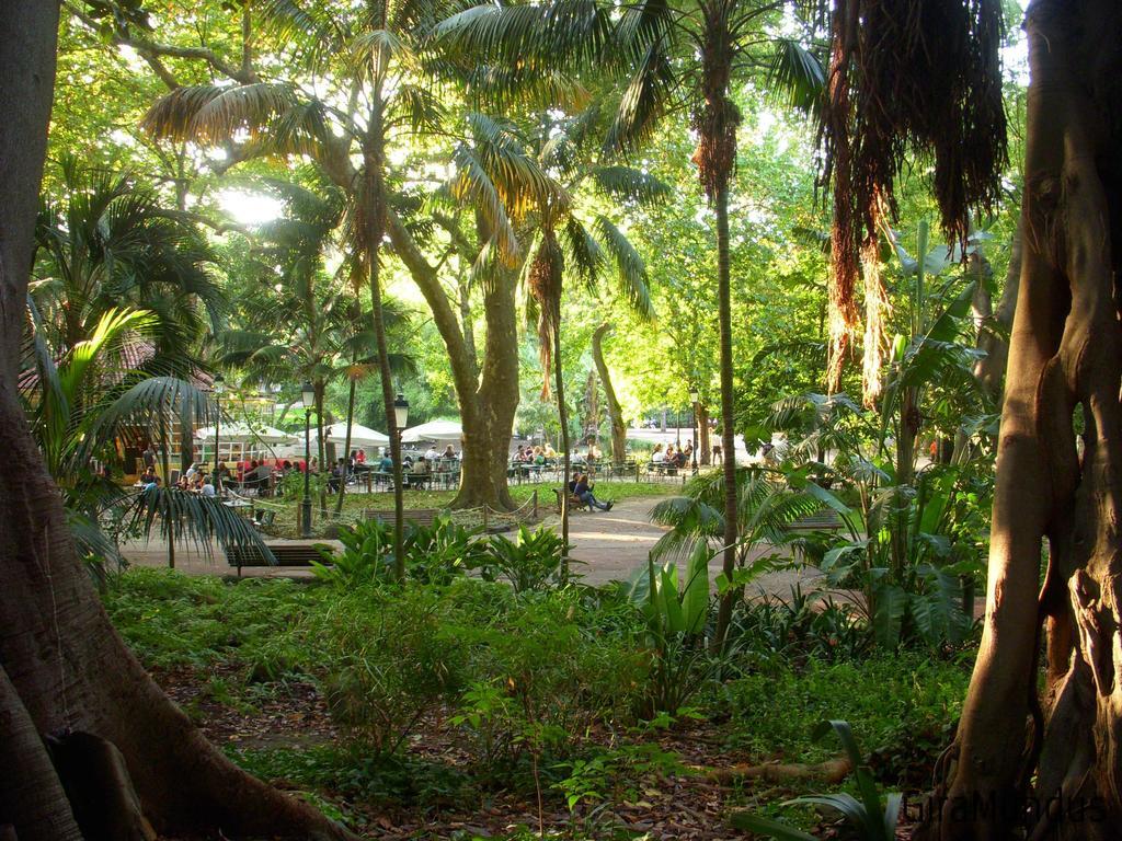 Apartamento Imperium Village