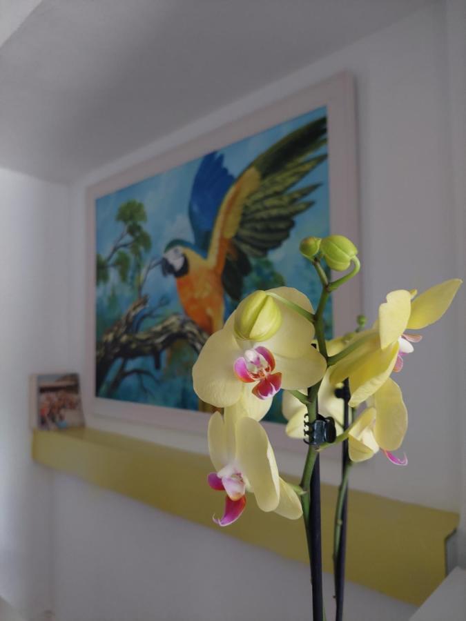 Maison d'hôtes L83 - And Lisboa
