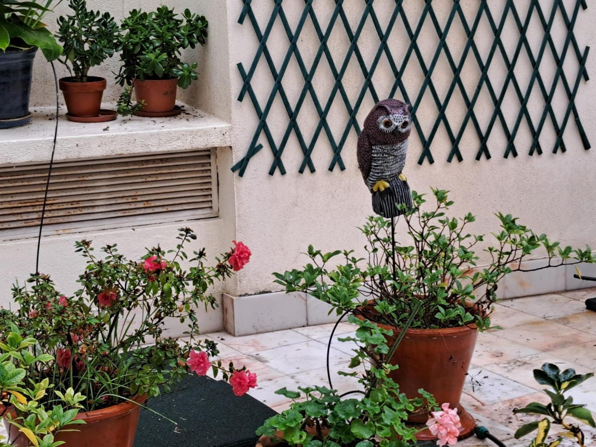 Sunny Terrace * Lissabon