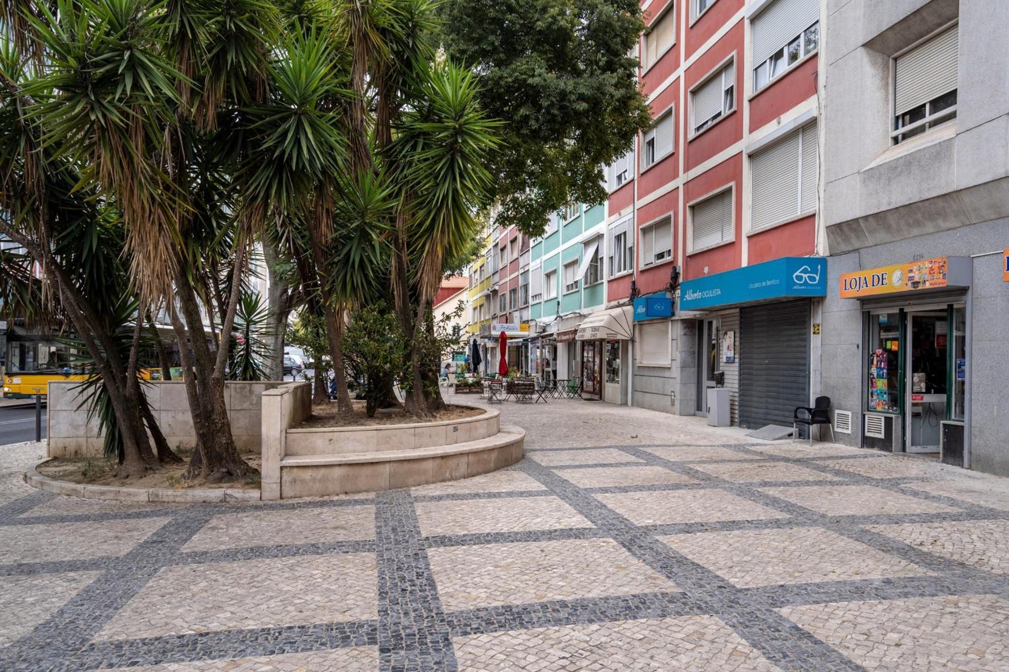 Akicity Benfica Serene Lissabon