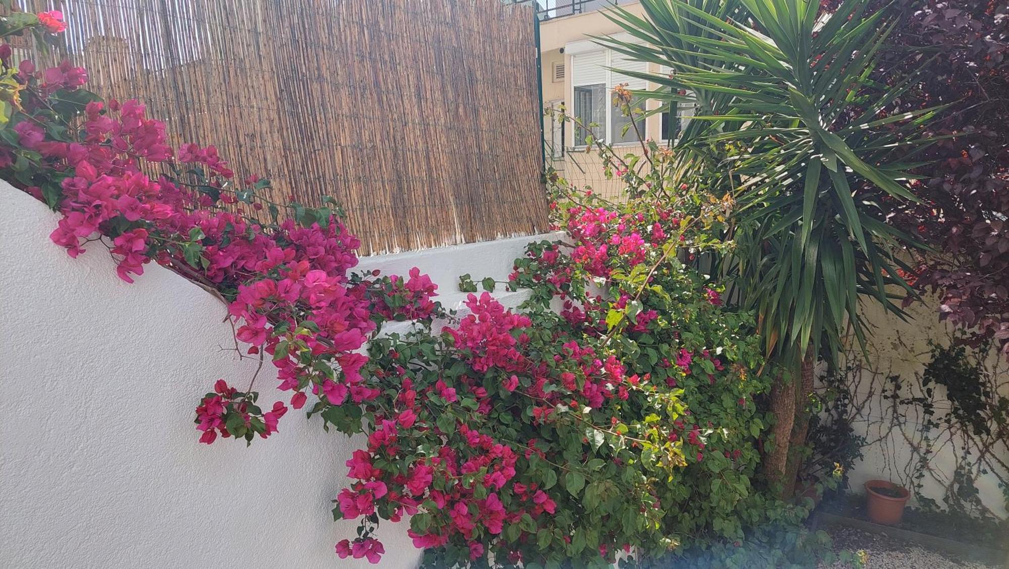 Appartement With Private Garden - Location *