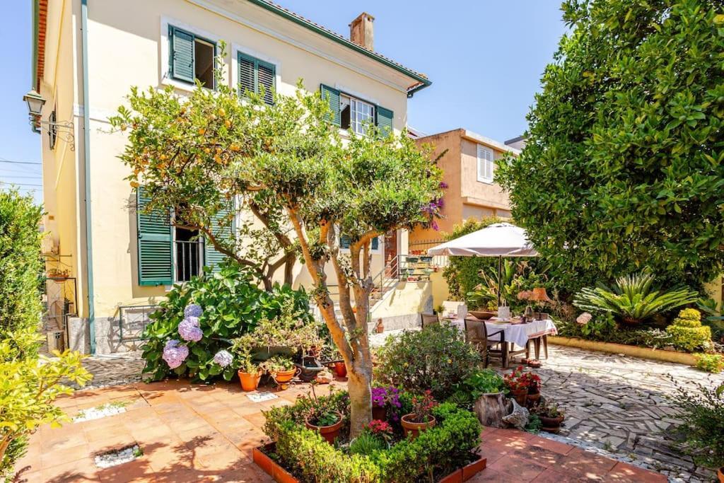 & Garden Appartement Lisboa