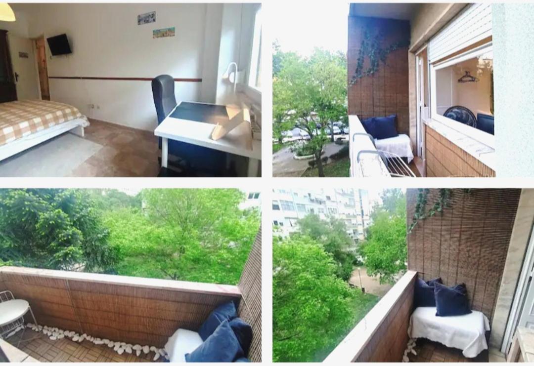 Private Rooms In Shared Apartment - Shared Bathroom And Dog Friendly
