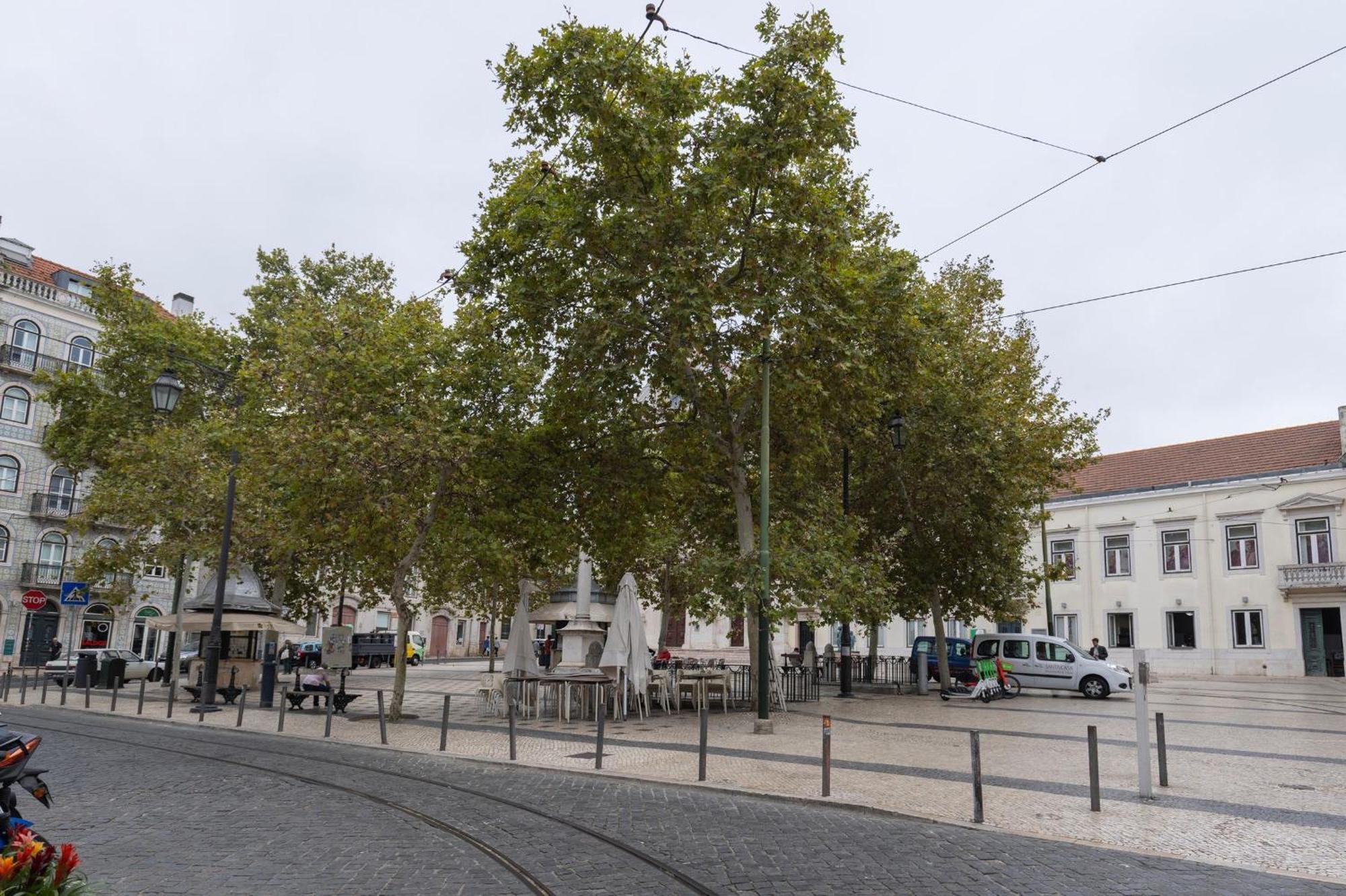 Chiado Center 1bdr Flat By Lovelystay Appartement Lisboa