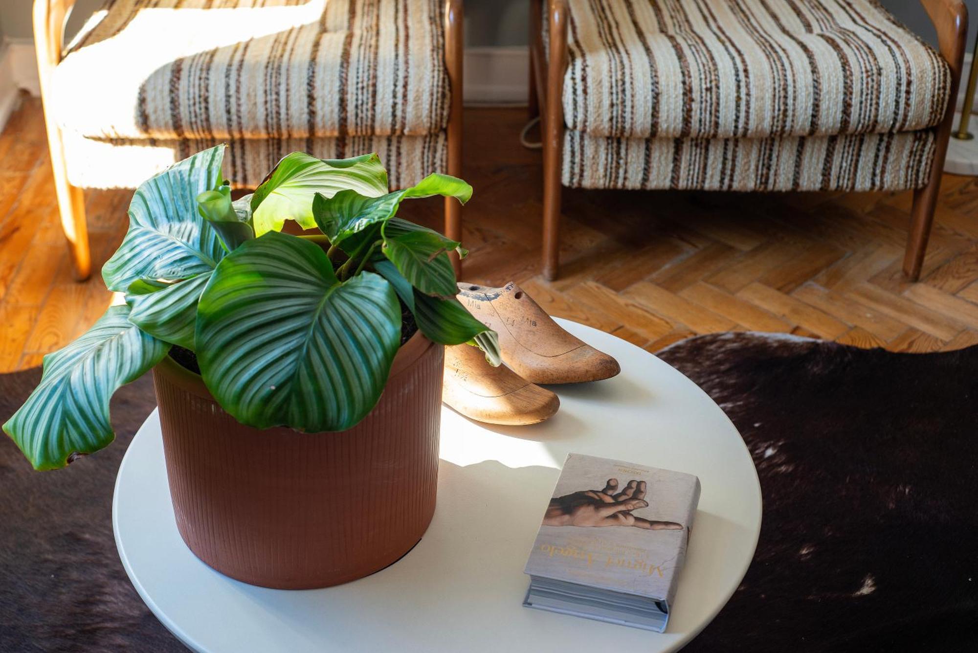 Graca - Castle | Cheese & Wine Appartement *