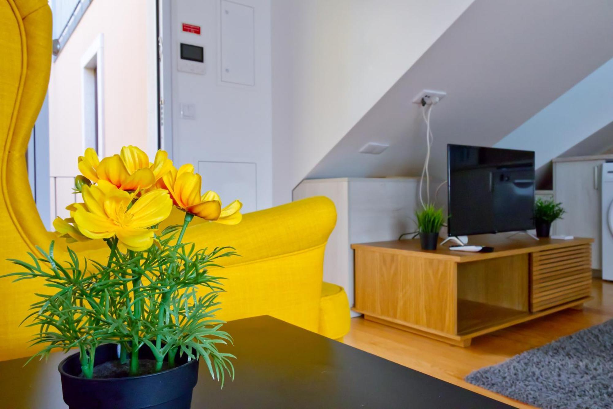 Apartamento Vista Lusitana *