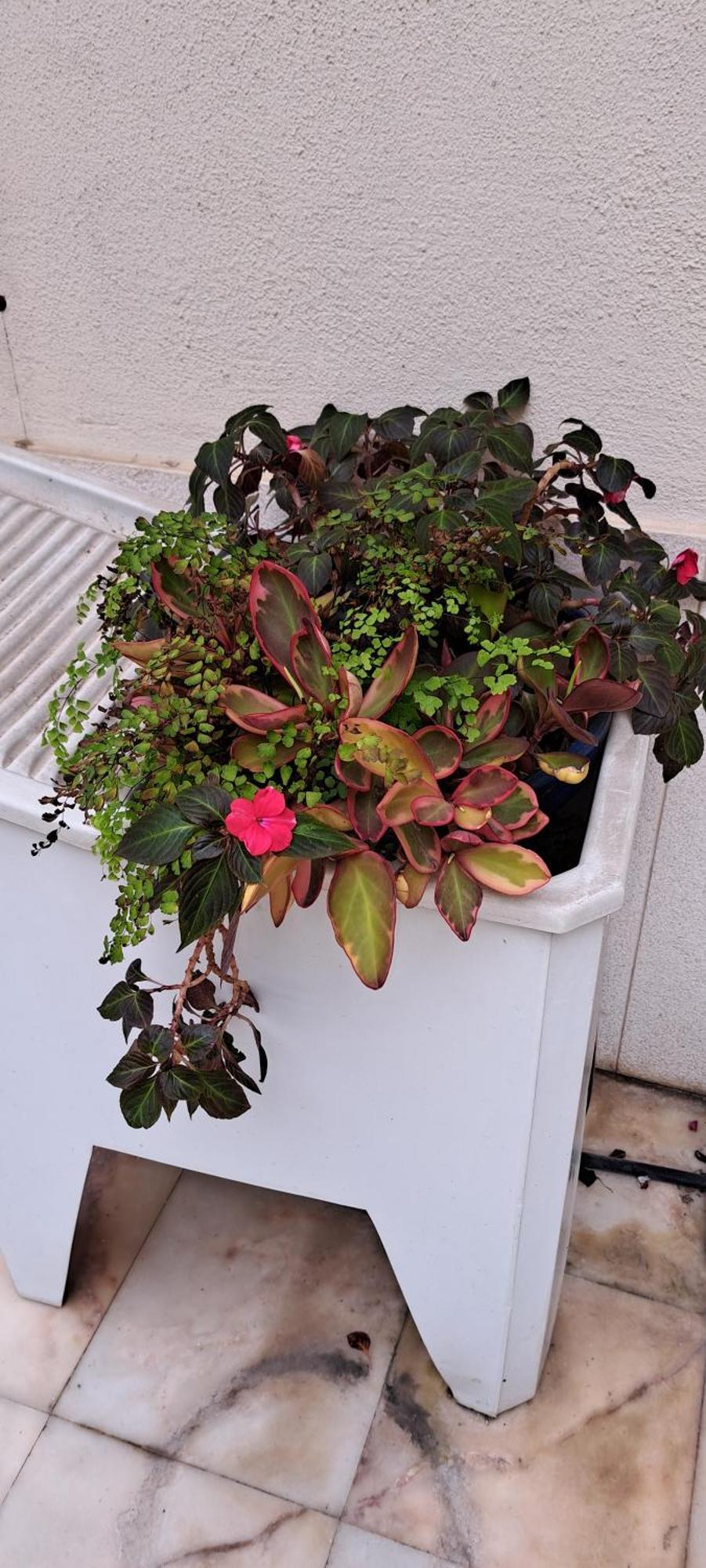 Sunny Terrace Appartement