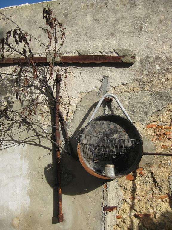 The Back Yard Nest Lissabon