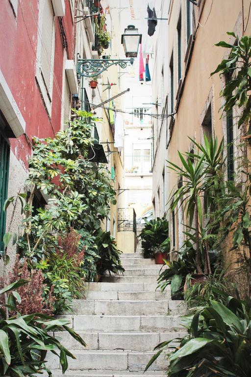 Lov'alfama, At In