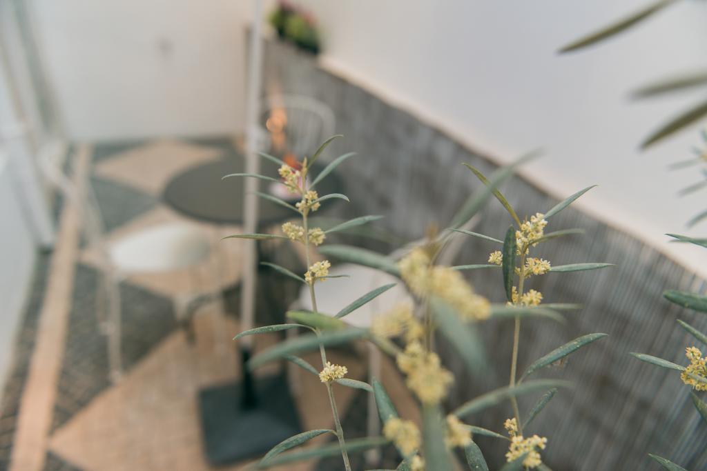 Appartement Entre O Carmo E A Trindade