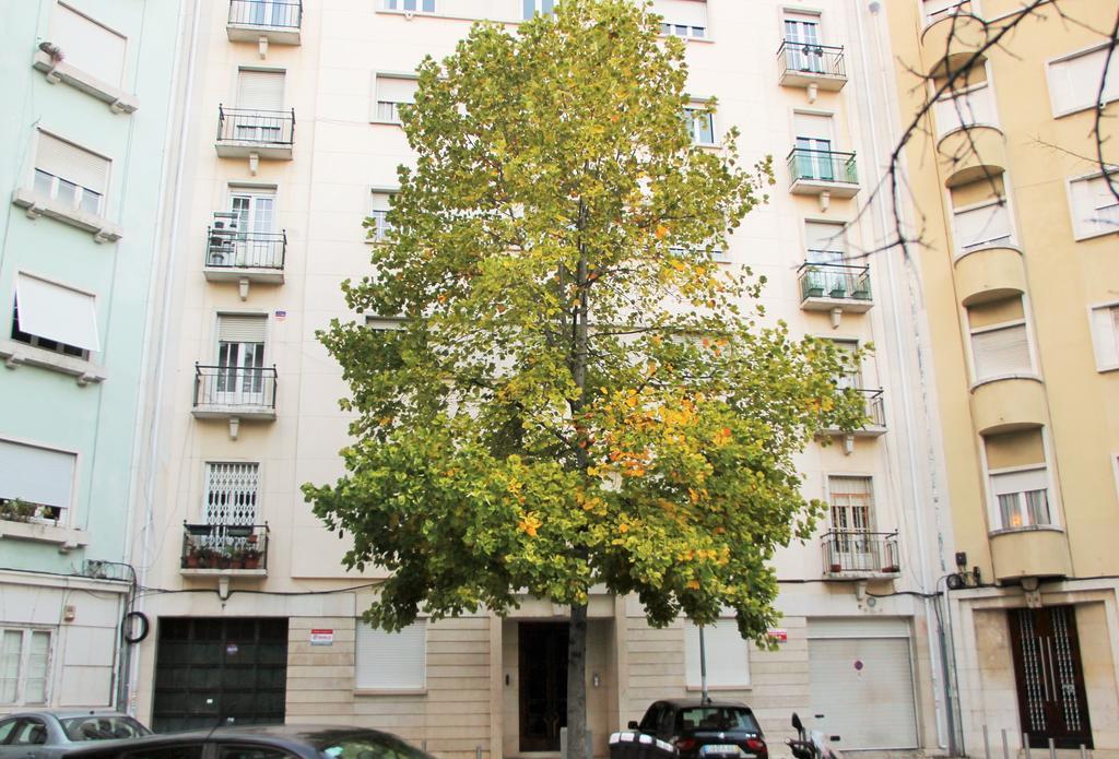 Casa Da Praceta Appartement *