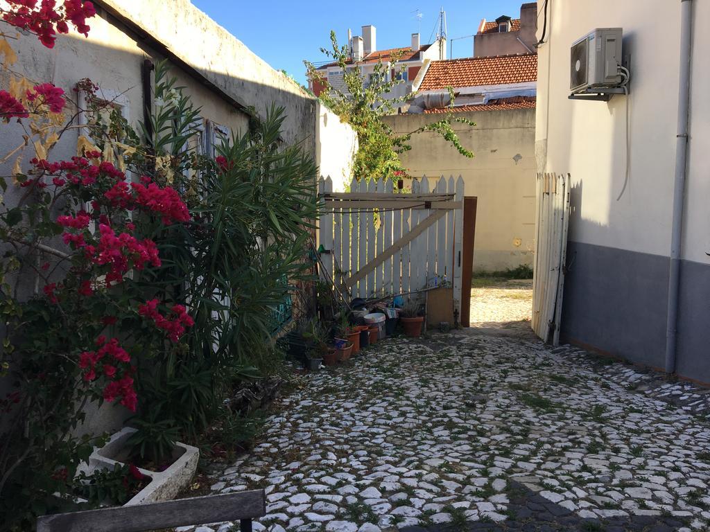 The Back Yard Nest Apartment Lissabon