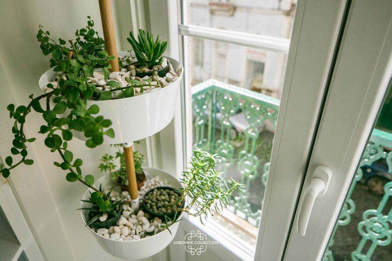 Apartment Very And Charming 60 By Lisbonne Collection Lissabon