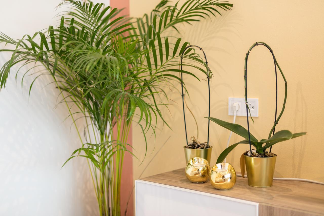Appartement Your - Duque De Palmela