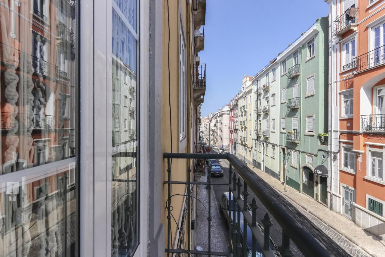 Red Almirante By Homing * Lisboa