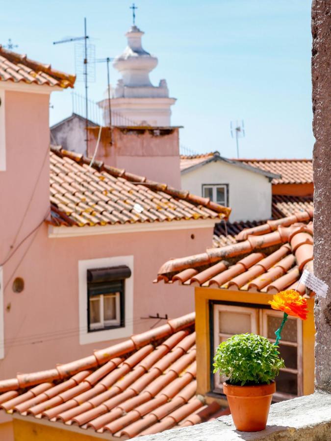 Alfama Terrace *